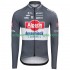 Alpecin Deceuninck 2025 Herren Radtrikot (langarm)