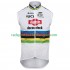 Alpecin Deceuninck 2024 Herren Fahrradweste