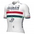 Team Bahrain Victorious 2024 Herren Radtrikot (kurzarm) N001