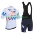 Equipe Pro Totalenergies Tour De France 2025 Herren Fahrradtrikot +Trägershort