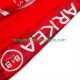 Equipe Pro Arkea Bb Hotels 2025 Herren Radtrikot (Kurzarm)