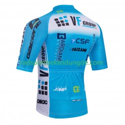 Equipe Pro Vf Group Bardiani Csf Faizane 2025 Herren Radtrikot (Kurzarm)