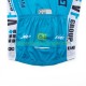 Equipe Pro Vf Group Bardiani Csf Faizane 2025 Herren Radtrikot (Kurzarm)