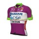 2022 Bardiani-CSF Herren Radtrikot (kurzarm) N001