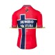 2022 Team Jumbo-Visma Herren Radtrikot (kurzarm) N003